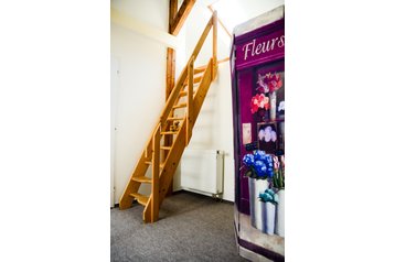 Alloggio presso privati Praga / Praha 1